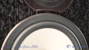 Полочная акустика Monitor Audio Silver RX2