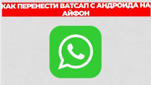 КАК ПЕРЕНЕСТИ ВАТСАП С АНДРОИДА НА АЙФОН