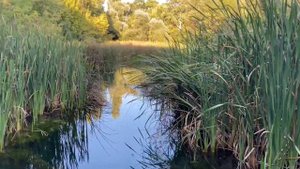 В Крыму возле Севастополя есть Чёрная речка.