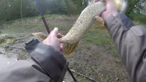 КАК ЛОВИТЬ НА СПИННИНГ ЩУКУ В ГОРОДСКОМ ПРУДУ