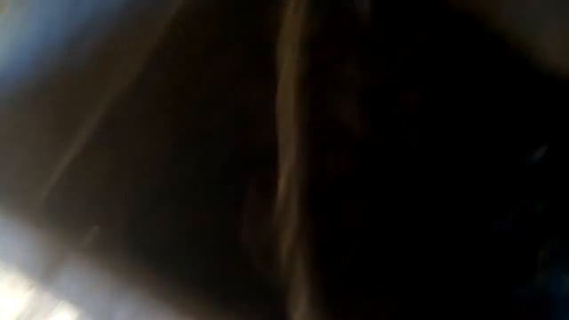 Пополнение у кроликов смотреть онлайн