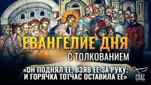 «ОН ПОДНЯЛ ЕЕ, ВЗЯВ ЕЕ ЗА РУКУ; И ГОРЯЧКА ТОТЧАС ОСТАВИЛА ЕЕ» / ЕВАНГЕЛИЕ ДНЯ