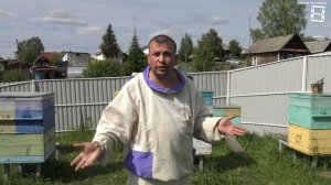 ПОМЕЩАЕМ МАТОЧНИКИ В КЛЕТОЧКИ ВЫВОД МАТОК, ОТВОДКИ ПЧЕЛ БЕЗ РОЕНИЯ 3 ДЛЯ НАЧИНАЮЩИХ ПЧЕЛОВОДОВ 14-2