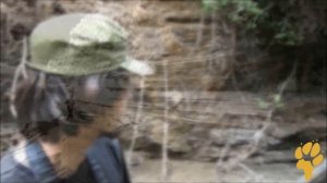 Дикая Африка. Природа Кении - национальный парк Врата Ада