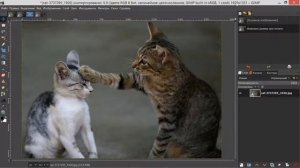 21. Как изменить разрешение изображения при печати в GIMP.