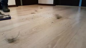 Ручной пылесос Dyson. Полное тестирование handstick Дайсон.