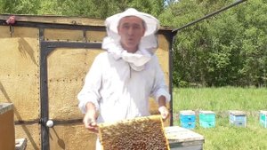 Почему я не использую разделительную решетку (ганемановскую)для пчел .