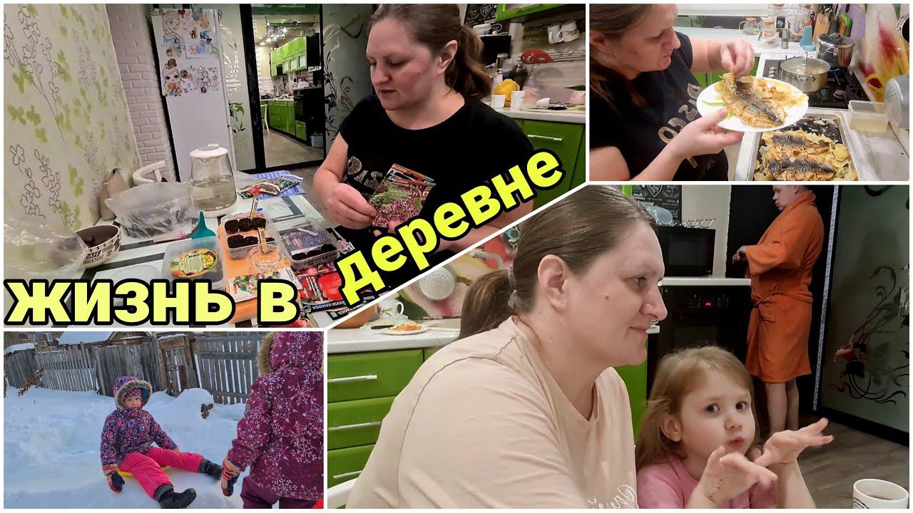 Посадка в торфяные таблетки. Запеченная Скумбрия в духовке. Жизнь в Деревне