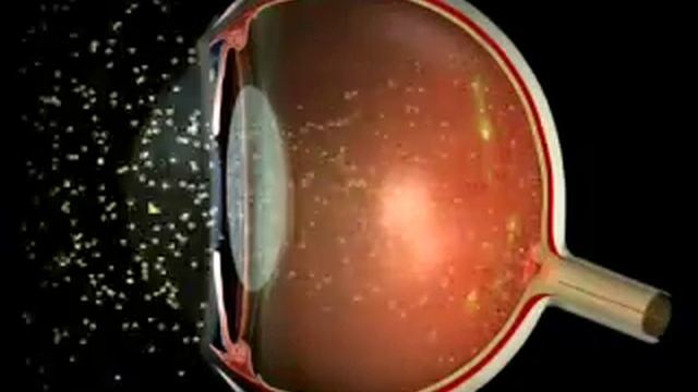 Зрительный анализатор как он работает.mp4 смотреть онлайн