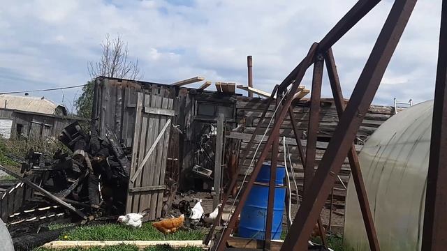 Строю односкатную крышу. Делаю стропила.