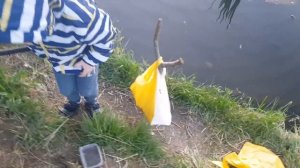 Рыбалка в Куркино