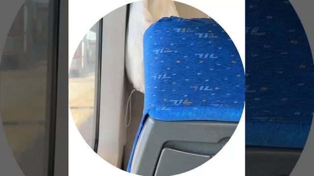 Дм 2! Лиза Полыгалова