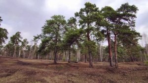 Челябинск парк Гагарина. 14.04.2022г