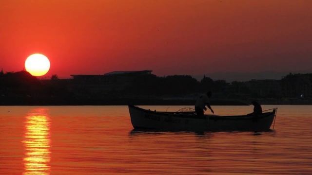 Живая природа Кубани. Моря Краснодарского края смотреть онлайн