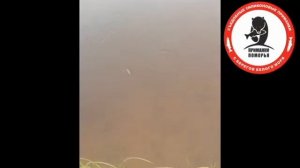 Рыбалка на канаве "ТЭЦ"  Архангельск .