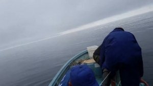 Дядя Милый о поимке палтуса