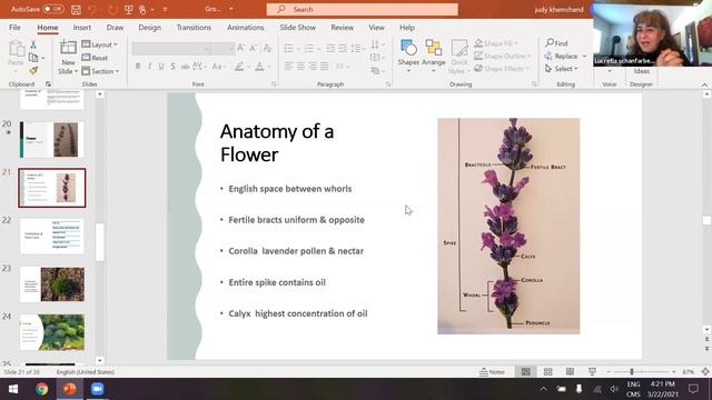 Gabbing about Lavender with Certified Horticulturist Judy Kemchand смотреть онлайн