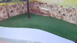 крокодилы в Ейске!