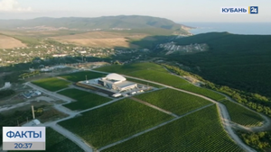 Под Анапой открылась гравитационная винодельня «Скалистый берег»