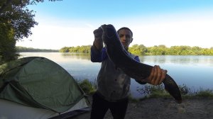 Ночная рыбалка с палаткой . Выловил огромного сома на фидер . Сомы атакуют