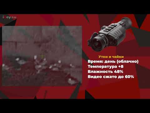 Тепловизор для охоты! Тепловизионный прицел с лазерным дальномером iRay Geni GL 35R.