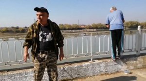 Рыбаки на реке Кубань ловят Американских канальных сомиков