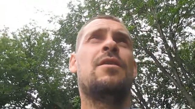 О РЕНТАБЕЛЬНОСТИ В сельском хозяйстве. ТЕОРИЯ И ПРАКТИКА больших чисел смотреть онлайн