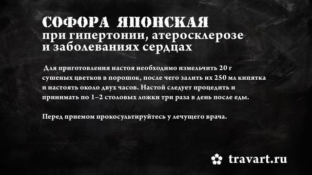 Средства от давления. Софора японская, омела белая. Траварт смотреть онлайн