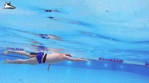 Совершенствование техники, упражнения для пловцов на резине. Учимся плавать быстро кролем