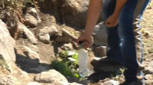 сурб оганес