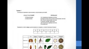 Биология. ВПР по биологии 7 класс