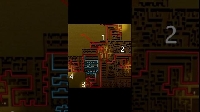 Карта для elude в slap battles — смотреть онлайн видео, бесплатно!