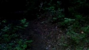 Очень страшное кино.mp4