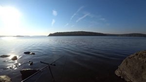 Рыбалка! ЖИРНЫЕ ЛЕЩИ на Матчевую удочку, с Большой глубины!