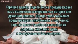 К чему снятся Деревья сонник, толкование сна