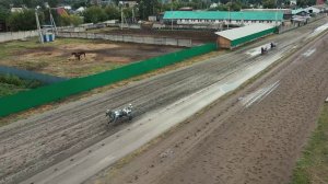 20.08.2022г.Абакан Групповой заезд Орловской Рыс. породы 4-х лет и старше  1600м