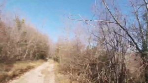 Охота на лесного голубя с иж 27 январь 2021 г. Туапсинский район