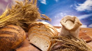 Часть 22 о Ное и земледелии