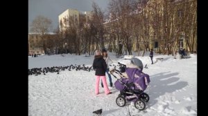 ВЕТЕР СЕВЕРНЫЙ (Поёт Анатолий Полотно)