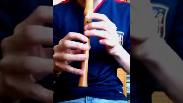 The place I'll return someday cover on flute / recorder | FINAL FANTASY IX FF9 FLAUTA TUTORIAL смотреть онлайн