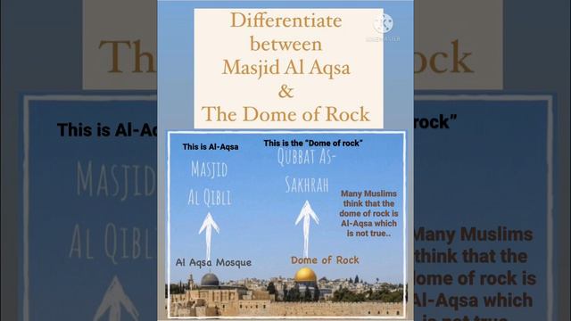 Difference between Al-Aqsa & the Dome of Rock?🕌