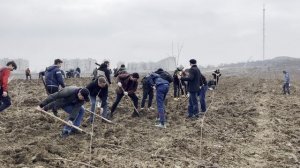 Акция «Возродим крымский лес»