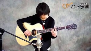 Kepma A1C/D1C acoustic guitar