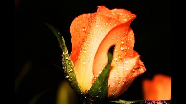 5 ТАЙНЫЙ КРИСТАЛЛИЧЕСКИЙ ЛУЧ "ОРАНЖЕВЫЕ"/РАДОСТНЫЕ 2017 МАТЕРЬ МИРА Практика!!! смотреть онлайн