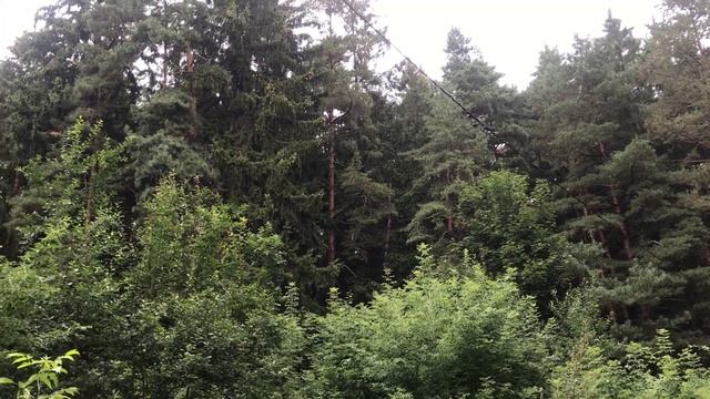 Две подруги и знакомство с парнем в ресторане. История из жизни. Интересные истории. Аудио рассказы