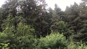 Две подруги и знакомство с парнем в ресторане. История из жизни. Интересные истории. Аудио рассказы