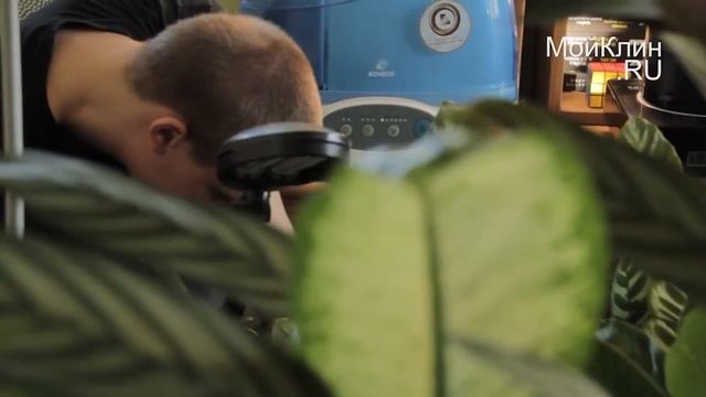 Тропический лес в клинской квартире смотреть онлайн