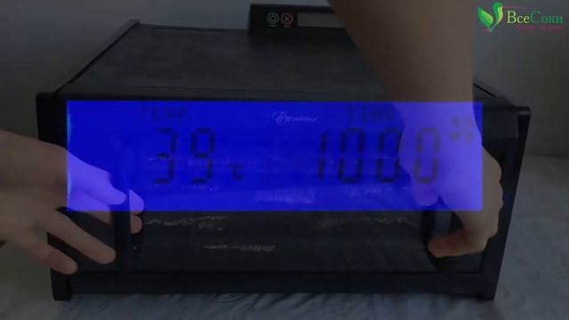 Острый имбирно-чесночный хлеб с гречкой и морковкой. Сыроедческий рецепт смотреть онлайн