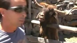 Мужик и говорящий козел