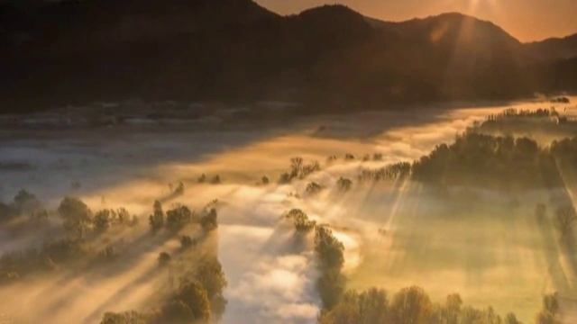 Татьяна Эйхман. Читают Элла Якубенкова и Владислав Витковский смотреть онлайн